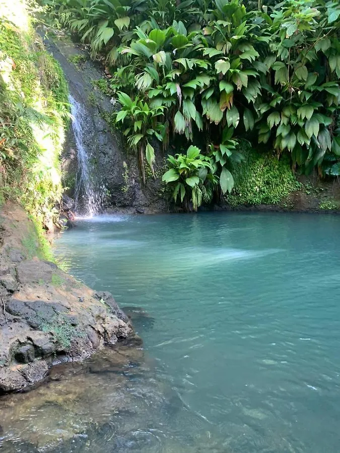 Bienvenue A Ti Gwadloup Joli T2 Parking Gratuit Apartment Le Gosier  Guadeloupe